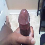 43488 - Black Cock Gallery