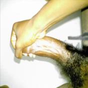 43493 - Black Cock Gallery