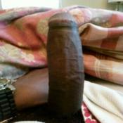 43499 - Black Cock Gallery