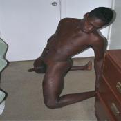 43534 - Black Cock Gallery