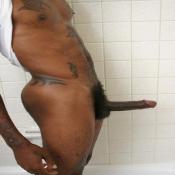 43631 - Black Cock Gallery