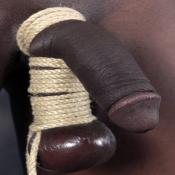 51351 - Black Cock Gallery