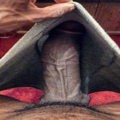 51390 - Black Cock Gallery