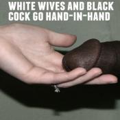 5176 - Black Cock Gallery