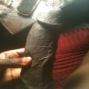 53719 - Black Cock Gallery