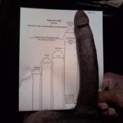 53831 - Black Cock Gallery
