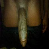 53965 - Black Cock Gallery