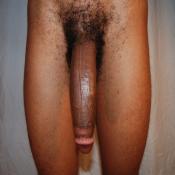 54073 - Black Cock Gallery