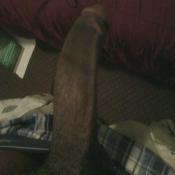 54654 - Black Cock Gallery