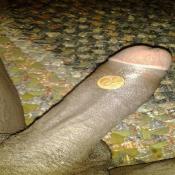 54700 - Black Cock Gallery