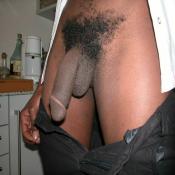 54716 - Black Cock Gallery