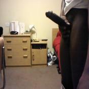 54742 - Black Cock Gallery