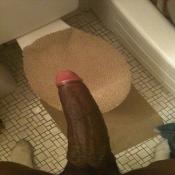 54788 - Black Cock Gallery