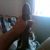 54820 - Black Cock Gallery