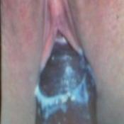 57175 - Black Cock Gallery