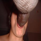 62995 - Black Cock Gallery