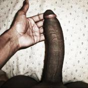 63316 - Black Cock Gallery