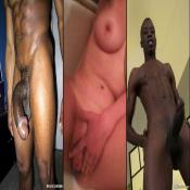 64238 - Black Cock Gallery