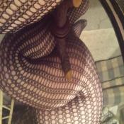 65149 - Black Cock Gallery