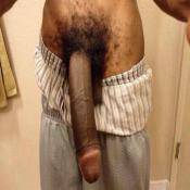 65694 - Black Cock Gallery