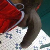 66996 - Black Cock Gallery