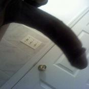 67348 - Black Cock Gallery