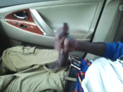 67491 - Black Cock Gallery