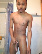 67778 - Black Cock Gallery