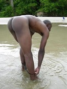 68376 - Black Cock Gallery