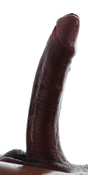 68764 - Black Cock Gallery
