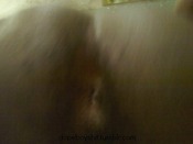 69315 - Black Cock Gallery