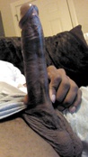 69428 - Black Cock Gallery