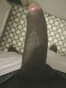70399 - Black Cock Gallery