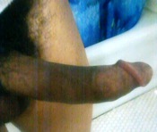 70923 - Black Cock Gallery