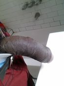 71741 - Black Cock Gallery