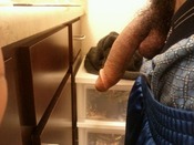 72165 - Black Cock Gallery