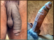 72742 - Black Cock Gallery