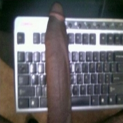 728 - Black Cock Gallery