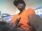 73094 - Black Cock Gallery