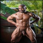 73123 - Black Cock Gallery
