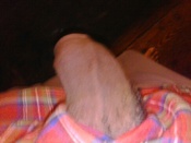 73187 - Black Cock Gallery