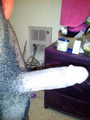 73325 - Black Cock Gallery