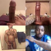 73623 - Black Cock Gallery