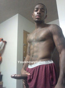 73684 - Black Cock Gallery