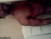 74108 - Black Cock Gallery