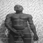 75313 - Black Cock Gallery