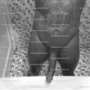 75314 - Black Cock Gallery