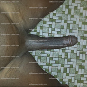 75319 - Black Cock Gallery