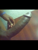 75619 - Black Cock Gallery