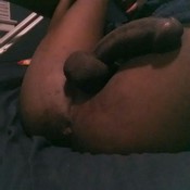 75684 - Black Cock Gallery